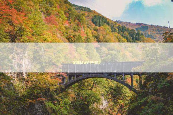 荣耀MWC抒情版 荣耀MWC抒情版 新闻