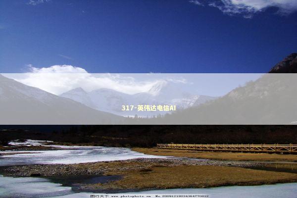 317-英伟达电信AI 新闻