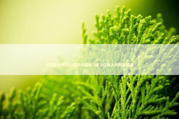 百融云创押注AI却利润缩水7成 3亿投入何时能回本 新闻