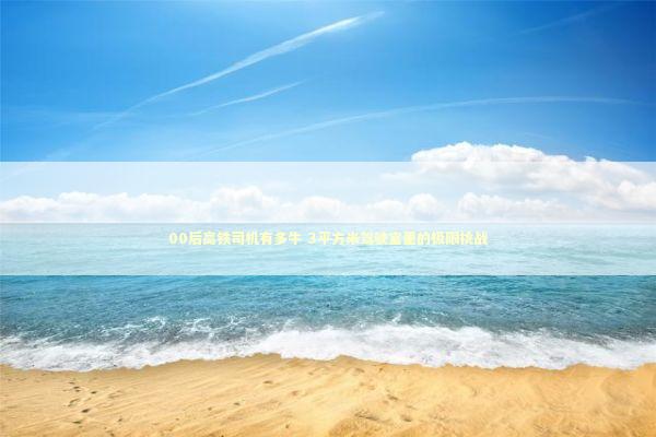 00后高铁司机有多牛 3平方米驾驶室里的极限挑战 00后高铁司机有多牛 3平方米驾驶室里的极限挑战 新闻