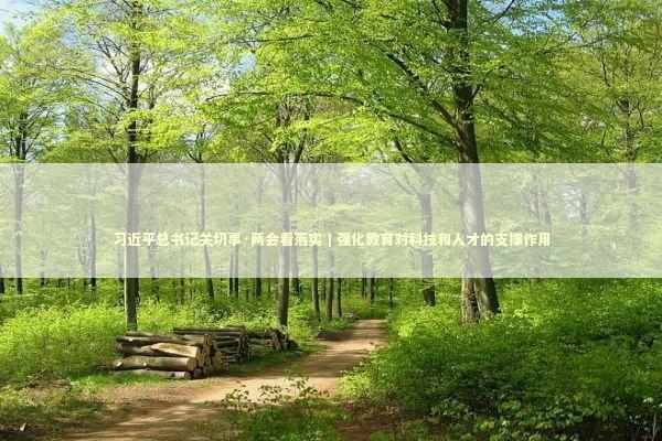 习近平总书记关切事·两会看落实｜强化教育对科技和人才的支撑作用
