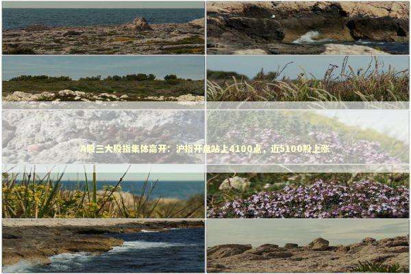 A股三大股指集体高开:沪指开盘站上4100点,近5100股上涨 A股三大股指集体高开:沪指开盘站上4100点,近5100股上涨 新闻