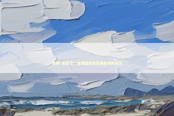 吉姆·奥尼尔：金砖国家能否推出共同货币