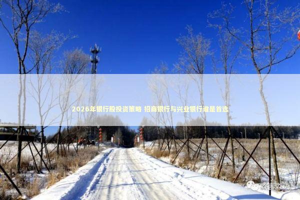 2026年银行股投资策略 招商银行与兴业银行谁是首选 新闻