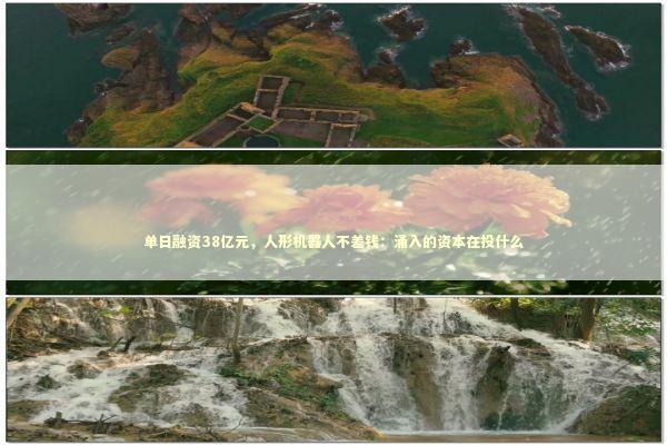 单日融资38亿元,人形机器人不差钱:涌入的资本在投什么 单日融资38亿元,人形机器人不差钱:涌入的资本在投什么 新闻