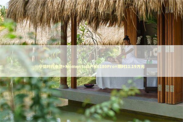 宁德时代电池+Momenta日产N6180Pro+限时11.19万元