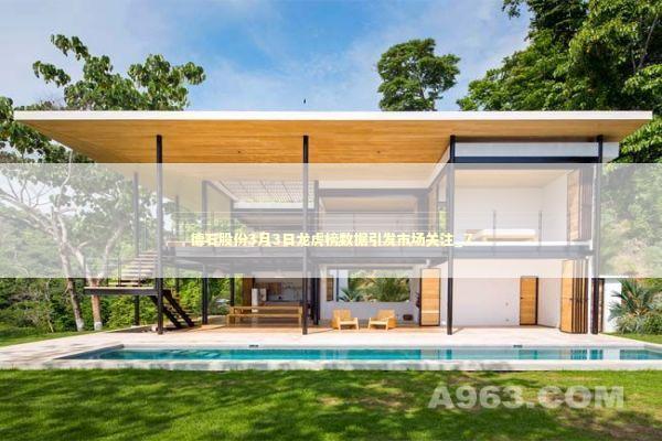 德石股份3月3日龙虎榜数据引发市场关注_7