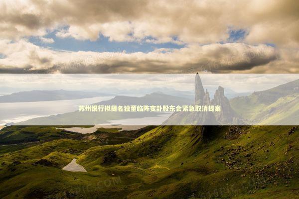 苏州银行拟提名独董临阵变卦股东会紧急取消提案 新闻
