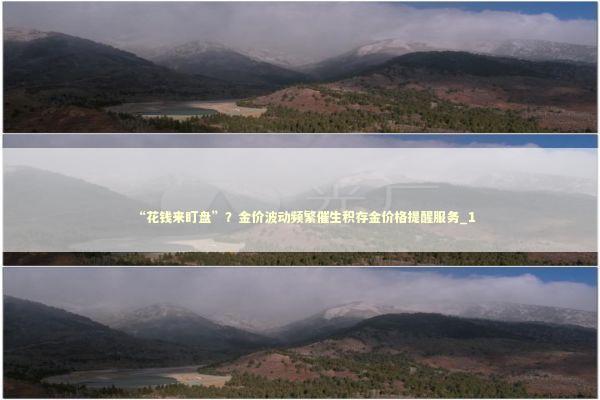 “花钱来盯盘”？金价波动频繁催生积存金价格提醒服务_1 新闻