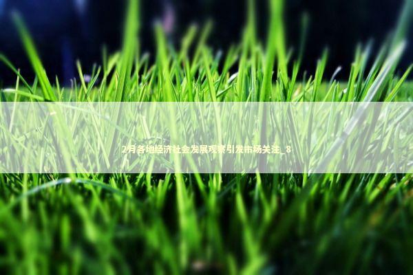 2月各地经济社会发展观察引发市场关注_8 新闻