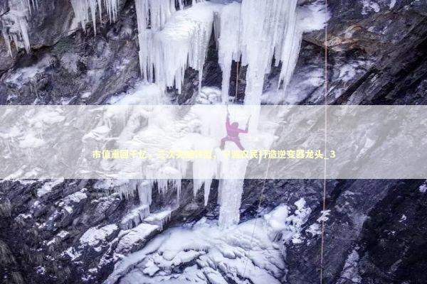 市值重回千亿,三次关键转型,宁波农民打造逆变器龙头_3 市值重回千亿,三次关键转型,宁波农民打造逆变器龙头_3 新闻