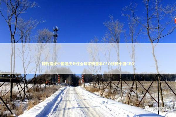 捷豹路虎中国潘庆升任全球采购董事CFO接棒中国CEO 捷豹路虎中国潘庆升任全球采购董事CFO接棒中国CEO 新闻