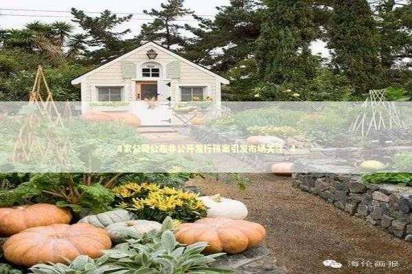4家公司公布非公开发行预案引发市场关注_4 新闻