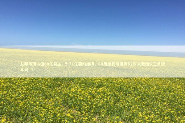 友邦吊顶市值88亿易主，5.71亿要约加持，80后施其明接棒62岁夫妻档长三角资本局_1 新闻