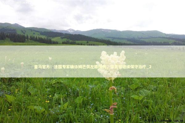 皇马官方:法国专家确诊姆巴佩左膝扭伤,球员将继续保守治疗_2 皇马官方:法国专家确诊姆巴佩左膝扭伤,球员将继续保守治疗_2 新闻