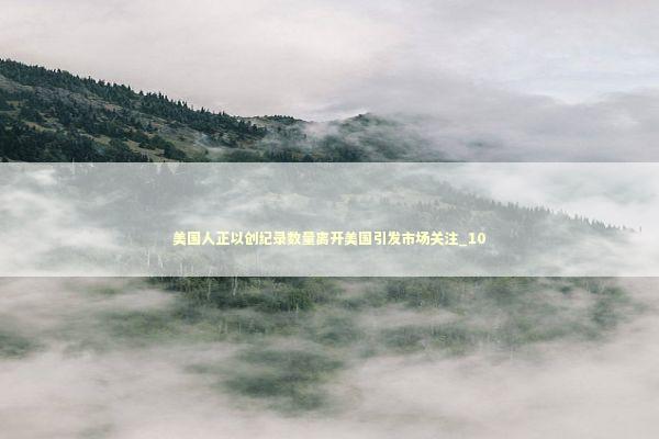 美国人正以创纪录数量离开美国引发市场关注_10 美国人正以创纪录数量离开美国引发市场关注_10 新闻