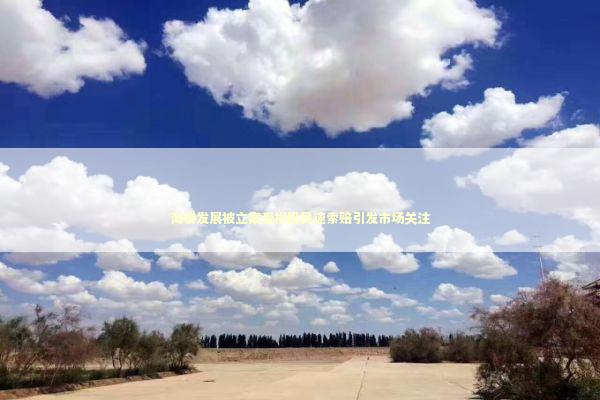 海泰发展被立案受损股民速索赔引发市场关注 海泰发展被立案受损股民速索赔引发市场关注 新闻