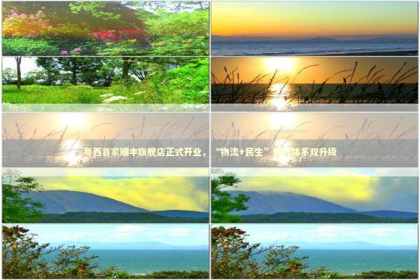 粤西首家顺丰旗舰店正式开业，“物流+民生”服务体系双升级 新闻