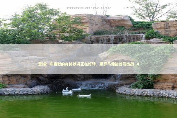 意媒:布雷默的身体状况正在好转,踢罗马他能首发出战_4 意媒:布雷默的身体状况正在好转,踢罗马他能首发出战_4 新闻