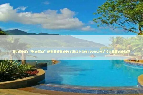 促内需转向“财金联动”新型政策性金融工具较上年增3000亿元扩投资政策力度加码 促内需转向“财金联动”新型政策性金融工具较上年增3000亿元扩投资政策力度加码 新闻