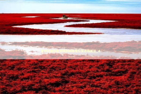 宣传干部该有怎样的政绩观引发市场关注_4 宣传干部该有怎样的政绩观引发市场关注_4 新闻