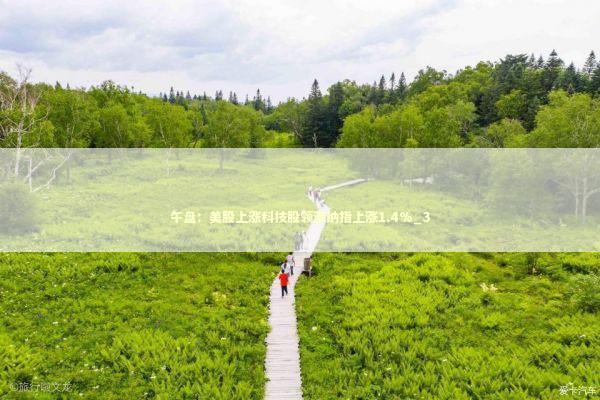 午盘：美股上涨科技股领涨纳指上涨1.4%_3 新闻