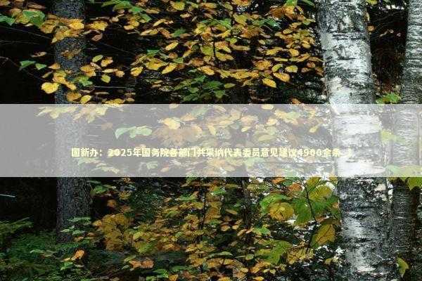 国新办：2025年国务院各部门共采纳代表委员意见建议4900余条_1