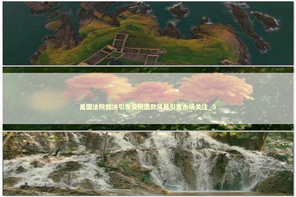 美国法院裁决引发关税退款风暴引发市场关注_5 美国法院裁决引发关税退款风暴引发市场关注_5 新闻