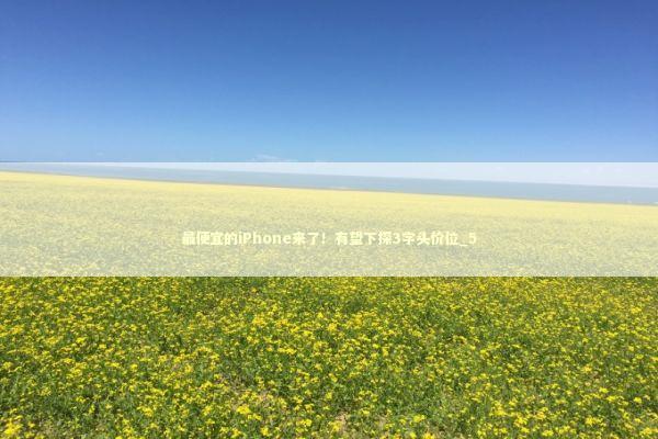 最便宜的iPhone来了！有望下探3字头价位_5 新闻