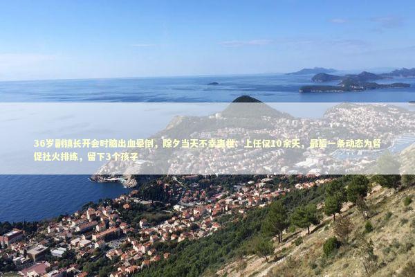 36岁副镇长开会时脑出血晕倒，除夕当天不幸离世：上任仅10余天，最后一条动态为督促社火排练，留下3个孩子