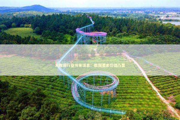 大数据行业传来消息：数据要素价值凸显 新闻