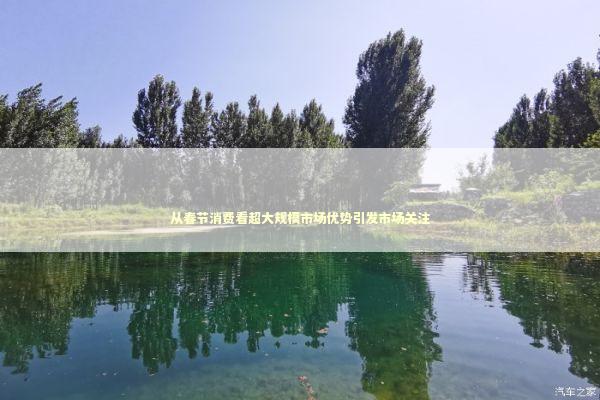 从春节消费看超大规模市场优势引发市场关注 从春节消费看超大规模市场优势引发市场关注 新闻