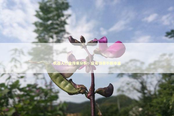 机器人行业传来分析：应用场景不断丰富 新闻