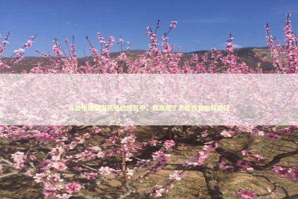 办公电脑突发死机的慌乱中，我发现了系统恢复的新路径 新闻