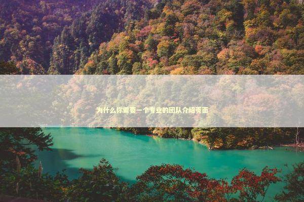 为什么你需要一个专业的团队介绍页面 企业服务