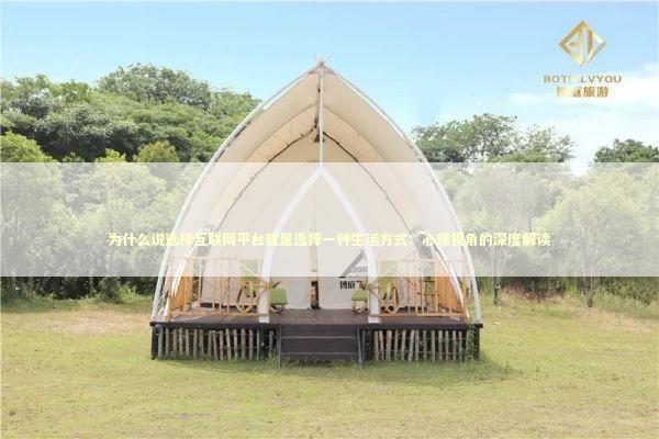 为什么说选择互联网平台就是选择一种生活方式：心理视角的深度解读 IT技术