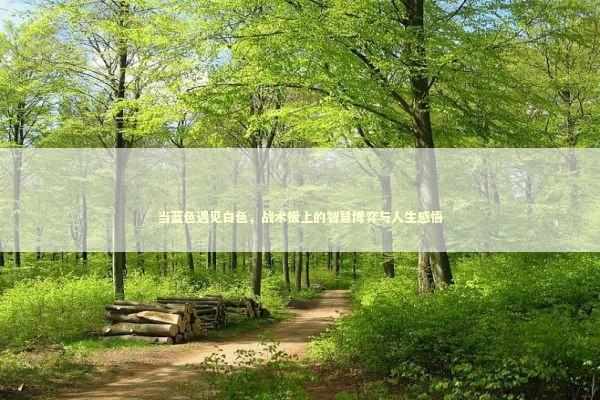 当蓝色遇见白色，战术板上的智慧博弈与人生感悟 体育新闻