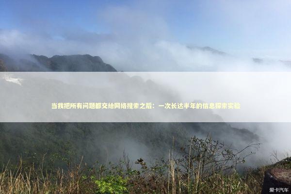 当我把所有问题都交给网络搜索之后：一次长达半年的信息探索实验 IT技术