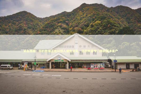 紧急提醒：你的数据正在以惊人速度消失，这款神器专门拯救新手用户 IT技术