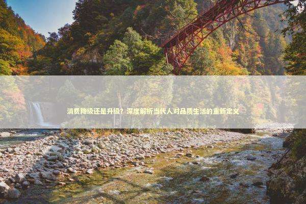 消费降级还是升级?深度解析当代人对品质生活的重新定义 消费降级还是升级?深度解析当代人对品质生活的重新定义 时尚用品