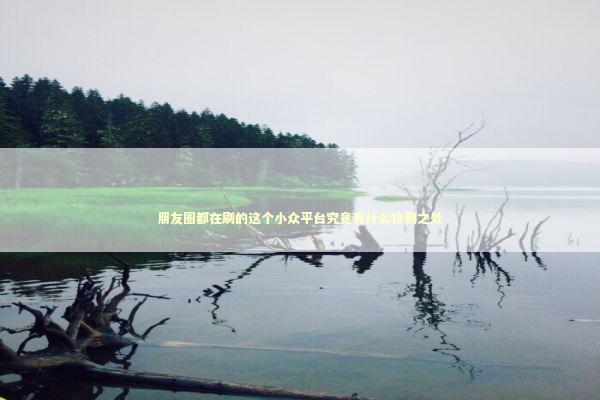 朋友圈都在刷的这个小众平台究竟有什么特别之处 新闻